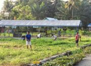 Pemdes Teromu Gotong Royong Membersihkan Lapangan