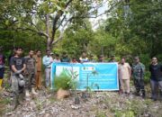 PT Vale Sinergi Pemda Lutim, Tanam Pohon di Areal Persetujuan Penggunaan Kawasan Hutan