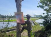 Satpol PP Kecamatan Burau Amankan APK Caleg di Pepohonan, Taman dan Tempat Umum