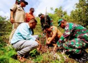 Bentuk Perlindungan Terhadap Lingkungan, PT Vale Bersama Pemda Lutim Tanam Pohon