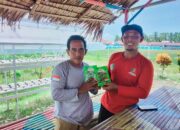 Pemdes Sindu Agung Bagikan Bibit Cabai Ke Lima Kelompok Tani