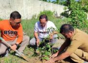 Gerakan “Peduliki Saya Jagaki”, RSUD I Lagaligo Tanam Lengkeng Mutiara dan Diamond