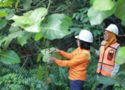 Transparan dalam Pengelolaan Lapooran Keberlanjutan, PT Vale Raih Penghargaan ASRA 2023