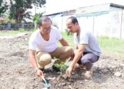 RSUD I Lagaligo Menanam Pohon Sengon Dihari Bumi Sedunia