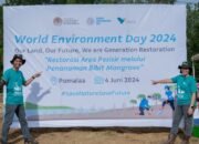 Peringati Hari Lingkungan Hidup Sedunia, PT Vale IGP Pomalaa Tanam Ribuan Bibit Bakau