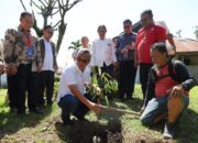Bupati Budiman Dukung Gerakan Menanam 1.000 Pohon Durian Sinode GKST