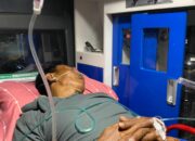 Cuaca Extrim, Petani di Luwu Timur di Sambar Petir