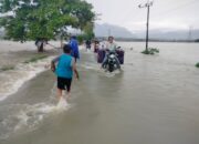 Puluhan Hektar Persawahan di Desa Sindu Agung Terendam Banjir