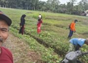 Warga Desa Pertasi Kencana Gelar Kegiatan Gotong Royong
