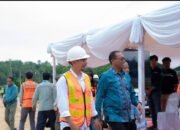 Tanam Pohon Serentak untuk Ketahanan Pangan dan Masa Depan Bumi, PT Vale IGP Pomalaa Kolaborasi dengan Gubernur Sultra