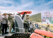 Panen Raya di Desa Binaan, Kejaksaan Luwu Timur Gandeng Bulog Beli Gabah Petani