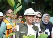 Kunjungan Menteri Kehutanan RI Tegaskan Komitmen PT Vale: Menuju Masa Depan Industri Tambang Yang Hijau, Bertanggung Jawab, dan Berkelanjutan