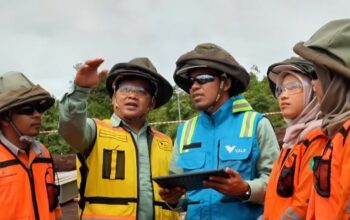 Transformasi Besar-besaran! Begini Update Terbaru Proyek IGP Pomalaa PT Vale di Sulawesi Tenggara