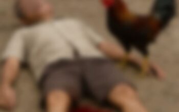 Sabung Ayam Berujung Maut, Seorang Warga Malili Tewas Tertusuk Taji