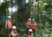 Komitmen Pada Keberlanjutan, PT Vale Hijaukan Area Bekas Tambang
