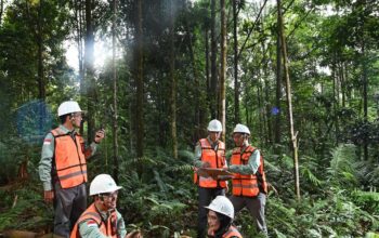Komitmen Pada Keberlanjutan, PT Vale Hijaukan Area Bekas Tambang
