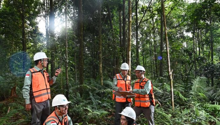 Komitmen Pada Keberlanjutan, PT Vale Hijaukan Area Bekas Tambang