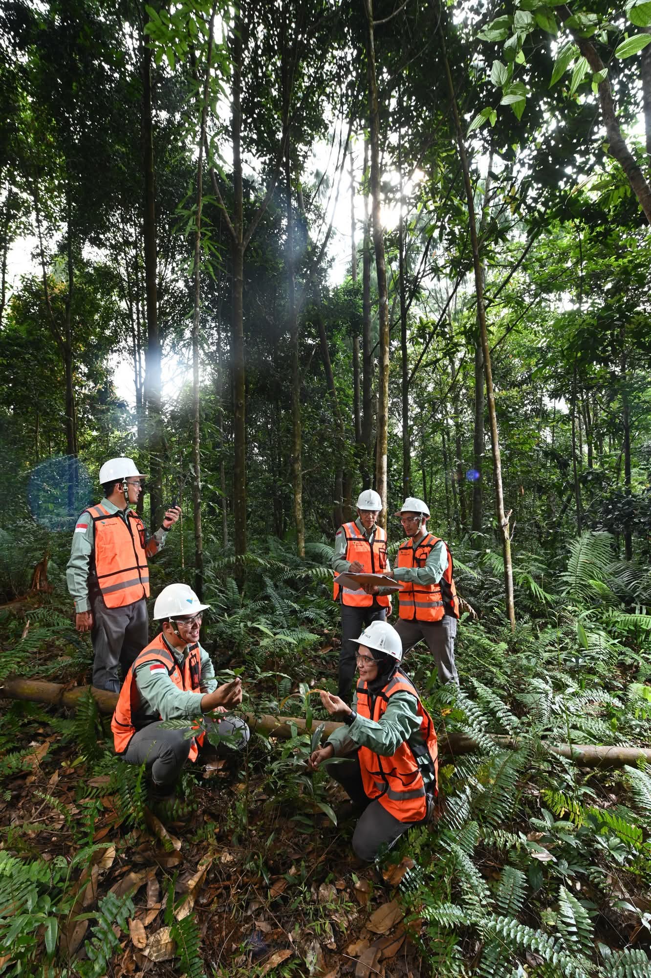 Komitmen Pada Keberlanjutan, PT Vale Hijaukan Area Bekas Tambang