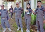 Satpol PP Temukan Bungkus Komix dan Lem Fox di Belakang Gedung Lama Malili, Diduga Tempat Pelajar Bolos
