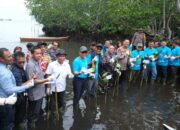 Peringati Hari Mangrove, PT Vale Tanam 2.000 Mangrove dan Pulihkan Pesisir Malili