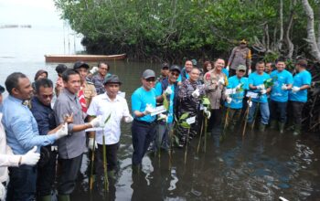 Peringati Hari Mangrove, PT Vale Tanam 2.000 Mangrove dan Pulihkan Pesisir Malili
