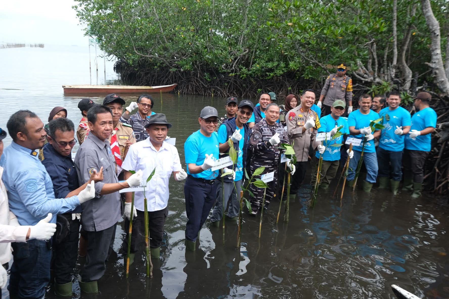 Peringati Hari Mangrove, PT Vale Tanam 2.000 Mangrove dan Pulihkan Pesisir Malili