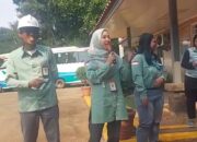 PT Vale: 65 Persen Lahan Bekas Tambang Sudah Direklamasi, Lebih dari 5 Juta Pohon Ditanam