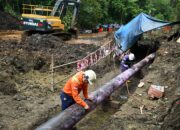 Pulih Bersama, Bangkit Lebih Kuat: PT Vale dan Masyarakat Towuti Menapaki Jalan Pemulihan Berkelanjutan