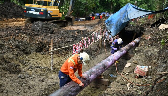 Pulih Bersama, Bangkit Lebih Kuat: PT Vale dan Masyarakat Towuti Menapaki Jalan Pemulihan Berkelanjutan