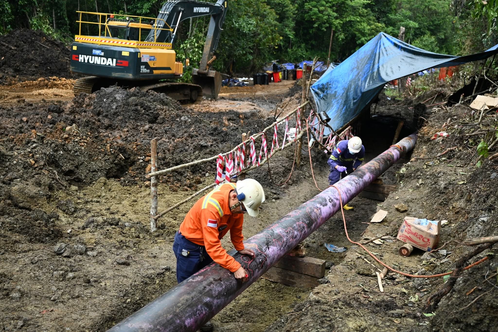 Pulih Bersama, Bangkit Lebih Kuat: PT Vale dan Masyarakat Towuti Menapaki Jalan Pemulihan Berkelanjutan