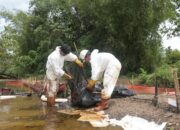 Progres Pemulihan PT Vale di Towuti: Dari Respon Darurat Menuju Solusi Terstruktur
