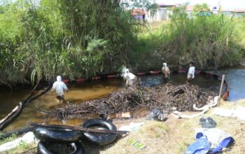 Langkah Nyata Wujudkan Towuti Pulih: PT Vale Fokus Bersihkan Sisa Tumpahan dan Tanggapi Aduan Warga