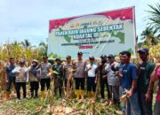 Polres Luwu Timur Gelar Panen Raya Jagung Serentak Dukung Swasembada Pangan 2025
