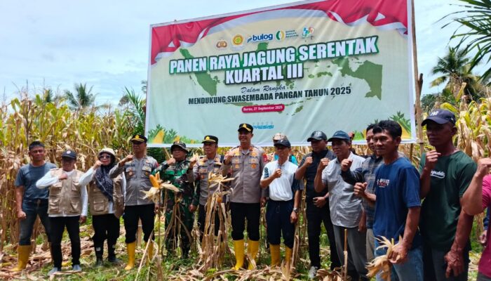 Polres Luwu Timur Gelar Panen Raya Jagung Serentak Dukung Swasembada Pangan 2025