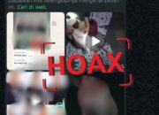 Viral Isu “Manusia Kanibal” di Luwu Raya, Polisi Minta Warga Tak Terprovokasi