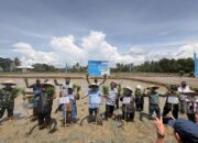 Dari Lahan Kolaka untuk Ketahanan Pangan Indonesia: PT Vale Kolaborasi Padi Berkelanjutan untuk Hadirkan Transformasi Pertanian Berbasis Inovasi