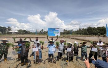 Dari Lahan Kolaka untuk Ketahanan Pangan Indonesia: PT Vale Kolaborasi Padi Berkelanjutan untuk Hadirkan Transformasi Pertanian Berbasis Inovasi