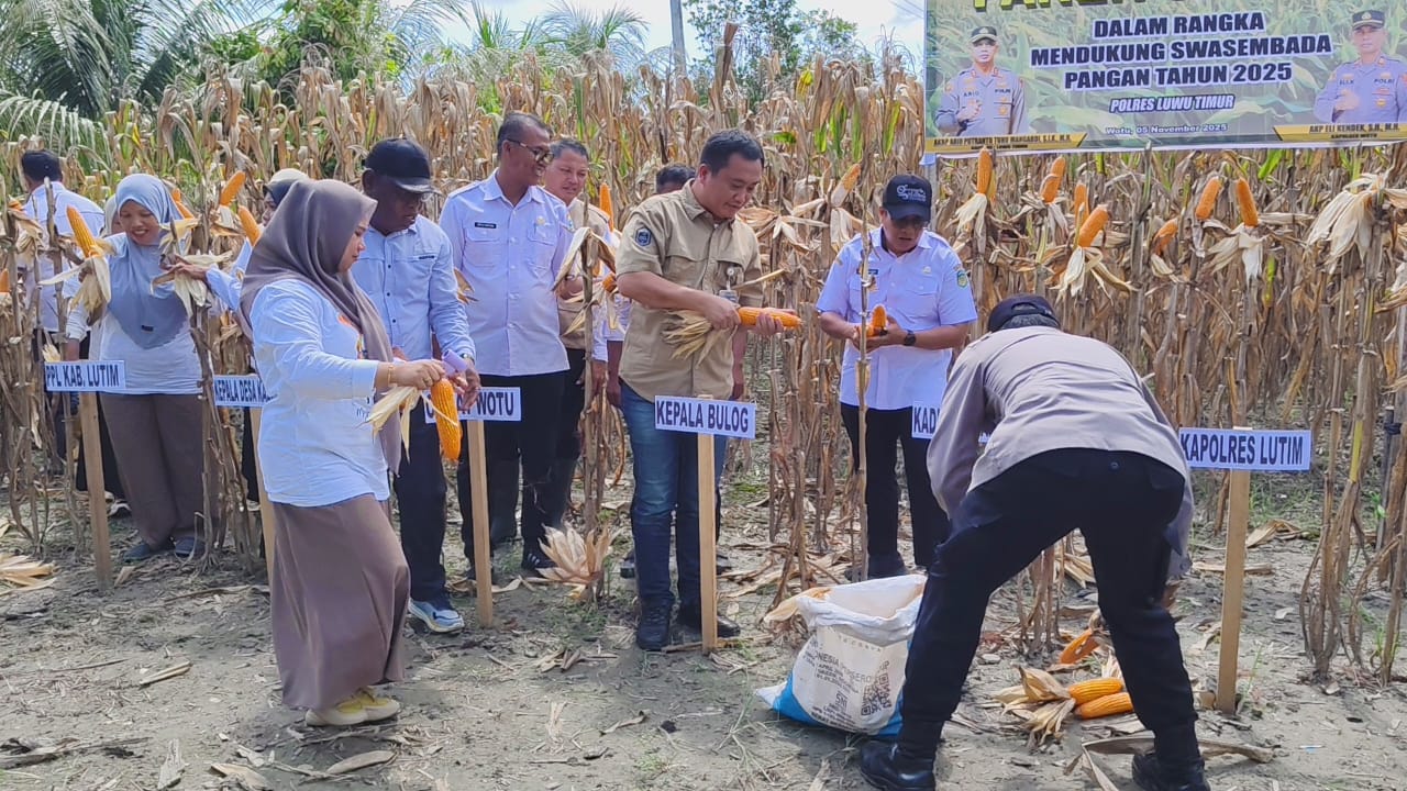 Panen Jagung di Wotu, Polres Luwu Timur Perkuat Sinergi Ketahanan Pangan