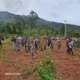 Tidak Memiliki Alas Hak Kepemilikan, Petani Penggarap Lahan Pemkab Lutim  Tidak Dapatkan Ganti Rugi Tanah