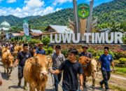 Idul Adha 1447 H, Hewan Qurban di Luwu Timur Capai 2.206 Ekor