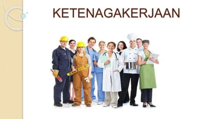 Disnaker Memiliki Peran Penting Dalam Pengawasan Implementasi Peraturan Ketenaga kerjaan