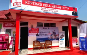 Stabilnya Harga Barang Kebutuhan Masyarakat Jika Koperasi Mera Putih Sudah Beroperasi