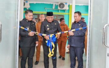 AMJI-RI Beri Apresiasi dan Dukungan Atas Langkah Pemkab Luwu Atas Peningkatan Fasilitas Kesehatan